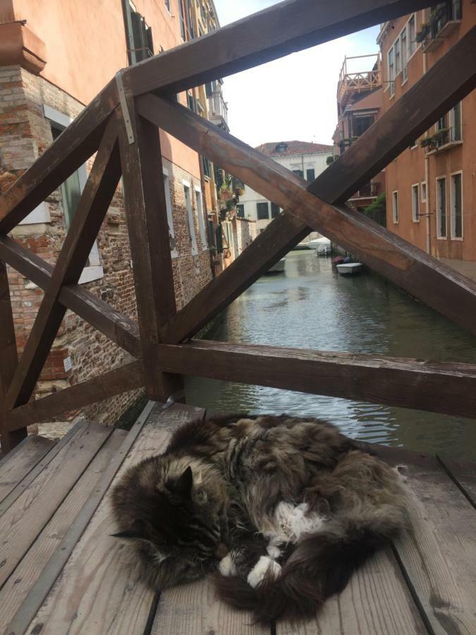 Tintoretto 1 Con Terrazza Sopra Il Tetto, 3 Bagni, 3 Grandi Da Letto, Super Nuovo Venise